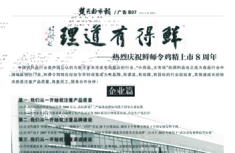 楚天都市报整版广告